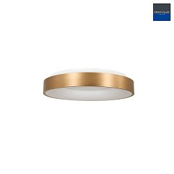 ceiling luminaire RINGLEDE -  30CM small, round, direct / indirect IP20, gold matt dimmable