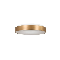ceiling luminaire RINGLEDE - � 30CM small, round, direct / indirect IP20, gold matt dimmable