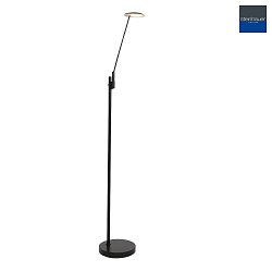 floor lamp DAPHNE 1 flame IP20, black dimmable