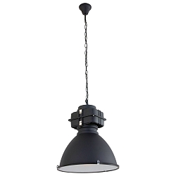 Mexlite Pendant luminaire DENSI, 1 flame, black