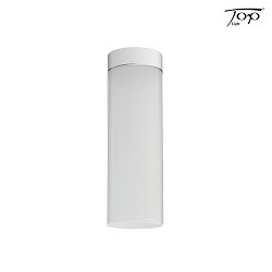 Deckenleuchte DELA BOX, zylindrisch, direkt / indirekt, E27, Metall / Glas, Wei matt (White Edition)
