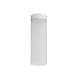 ceiling luminaire DELA BOX cylindrical, direct / indirect E27 IP20, white matt dimmable