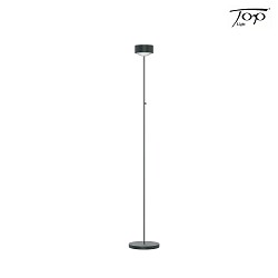 floor lamp PUK MAXX EYE FLOOR (LED) up / down, rigid, with touch dimmer, without lens IP20, anthracite matt dimmable
