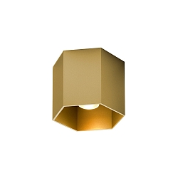Aufbau-Downlight HEXO 1.0 - PAR16, 1-flammig, GU10 max. 12W, ohne optionales Innencover, gold