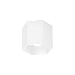Ceiling luminaire HEXO 1.0 PAR16, GU10 max. 12W, white