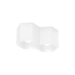 Aufbau-Downlight HEXO 2.0 - PAR16, 2-flammig, 2x GU10 max. 12W, ohne optionales Innencover, mattwei�