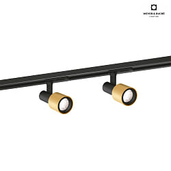 LED 1-phase track spot SARA 1.0, 8W 2700K, dimmable, black gold