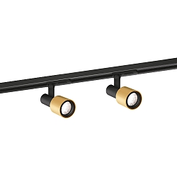 LED 1-phase track spot SARA 1.0, 8W 2700K, dimmable, black gold