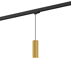 Pendant luminaire RAY 2.0 PAR 16 for 3-phase tracks, GU10 max. 12W, incl. adapter, gold