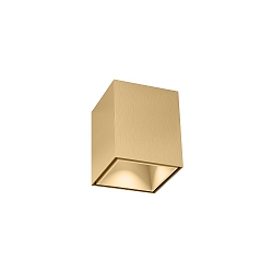 downlight BOX MINI 1.0 square, surface-mounted version IP20, champagner dimmable