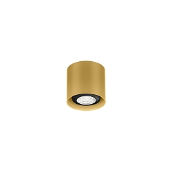 Deckenspot RAY MINI CEILING SURF 1.0 PAR16 G max. 12W GU10 100-240VAC, gold