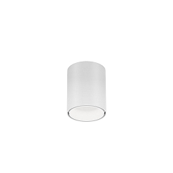 downlight RAY MINI 1.0 down, cylindrical, surface-mounted version IP20, white matt dimmable