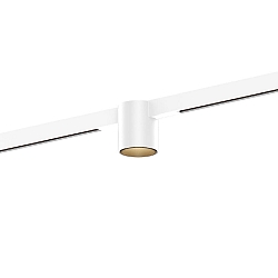 LED Schienenstrahler RAY ON STREX 1.0 LED 3000K W-WM 7W 48V DALI CRI90, wei� matt, champagner