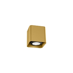Deckenspot DOCUS MINI CEILING SURF 1.0 PAR16 G max. 12W GU10 100-240VAC, gold