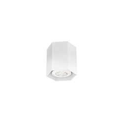downlight HEXO MINI 1.0 without reflector GU10 IP20, white matt