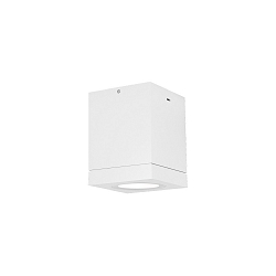 Outdoor Deckenleuchte TUBE CARR� 1.0 PAR16, IP65, GU10 max. 5W, Wei�
