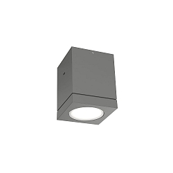 Outdoor LED Ceiling luminaire TUBE 1.0, IP65, 8W 3000K 38�, CRi >90, dimmable, dark grey