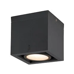 Outdoor LED Deckenleuchte ESKINA FRAME CL SINGLE CCT, IP65 IK06, 15W 3000/4000K 95°, verstellbar, Anthrazit
