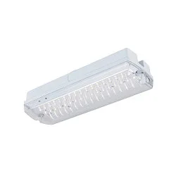 LED Wand-/Deckenleuchte P-LIGHT, rechteckig, 5,2W, 6000K, 90lm, IP65, weiß / transparent