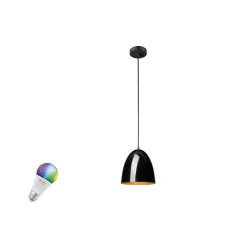 Pendelleuchte PARA CONE 20 SMART SET E27 RGBW, schwarz