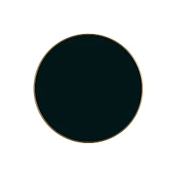 decorative element CHAMALEON 16/3975, black glossy
