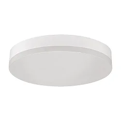 LED bathroom and outdoor luminaire MADISON 3497/28, IP54, 24W 3000-6500K 1989lm, white, Standard On-Off