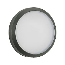 Outdoor LED Wand-/ Deckenleuchte Typ Nr. 6420, IP54 IK08, Ø 23cm, 24W 3000K 2400lm, schaltbar, anthrazit