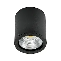 LED Outdoor Ceiling Spot Type No. 2380, 12W 1200lm, black matt