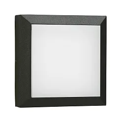 Outdoor LED Wall and Ceiling luminaire Type No. 6560, IP54 IK08, 19 x 19cm, 8W 3000K 880lm, cast alu / glass, dimmable, black