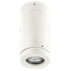 Outdoor Ceiling spot Type No. 2138, IP44, GU10 PAR16 50W, rotatable and swiveling, white