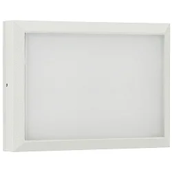 Outdoor LED Wand- und Deckenleuchte Typ Nr. 6403, IP54 IK08, 26 x 19cm, 16W 3000K 1600lm, dimmbar, Weiß matt