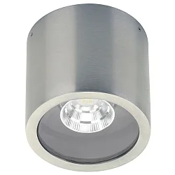 LED Außendecken-Strahler Typ Nr. 2318, IP44, Ø 10.3cm, 8W 3000K 800lm 30°, schwenkbar 30°, Edelstahl