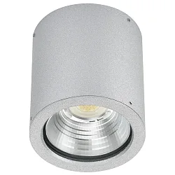 LED Outdoor Ceiling spot Type No. 2380, 12W 1200lm, silver matt