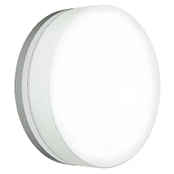 Outdoor LED Wand- und Deckenleuchte Typ Nr. 6308, IP65, Ø 25cm, 24W 3000K 2400lm, Silber matt / Glas opal