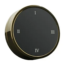 CASAMBI Dreh-Fernbedienung RWTDBTBA mit Wandhalterung, mit Akku, 5V DC, USB-C, 4 Tasten + Drehdimmer, gold