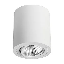 LED Aufbaustrahler, IP20, rund, Höhe 9.5cm / Ø 8.5cm, 230V AC, 6W 3000K 640lm 38°, schwenkbar 25°