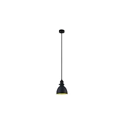 pendant luminaire DAPHNE 1 flame E27 IP20, black matt dimmable