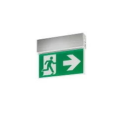 Rettungszeichenleuchte EKW 25 m, silber