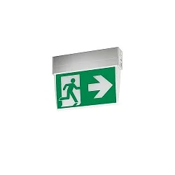 Rettungszeichenleuchte EKW 25 m, silber