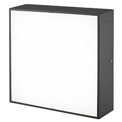 Outdoor LED wall or ceiling luminaire, IP65, square, anthracite, 24 x 24cm