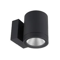 LED Fassadenstrahler SHORELINE PRO ROUND 100 DOWN, IP65 IK08, 12W 3000/4000K 1000lm 36°, CRi >90, dimmbar, dunkelgrau