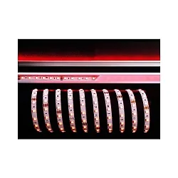 KapegoLED Flexibler LED Strip, 5050-60-24V-RGB, 500cm