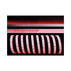 KapegoLED Flexibler LED Strip, 5050-60-24V-RGB, 500cm, Silikon