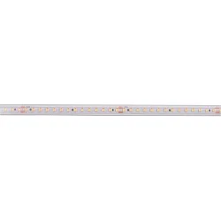 LED Strip 2835-140-48V-SILIKON white