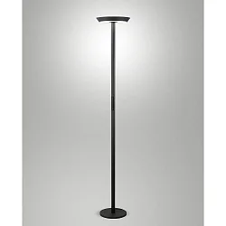 LED Stehleuchte FIZZ, direkt / indirekt, 178.5cm, 50+10W 2700-4000K (CCT Switch) 3300+900lm, mit Touch-Dimmer, anthrazit