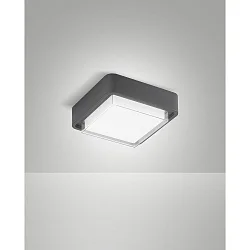LED Außendeckenleuchte DIUK, 12W, 3000K, 1620lm, IK08, IP65, dunkelgrau