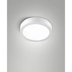 LED Außendeckenleuchte NICOLE CCT, 14W, 2700/3000/4000K, 1785lm, IK07, IP54, weiß