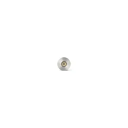 Outdoor LED Bodeneinbau-Spot GRUND, IP67 IK08, Ø 3.7cm, 700mA (exkl. BG), CRi>90, befahrbar bis 1t, 2W 3000K 15°, satiniert