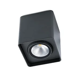 Outdoor LED Deckenleuchte TAMI, IP54, 100-240V, 9W 3000K 600lm 40°, CRI>80, inkl. Treiber, dreh- und schwenkbar, dunkelgrau