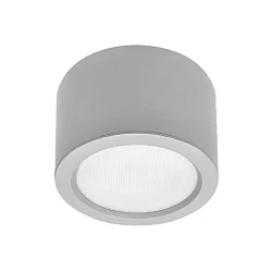 Outdoor LED Aufbau-Downlight, IP65 IK08, rund, Ø 22cm, DALI dimmbar, silber, 28W 4000K 3500lm
